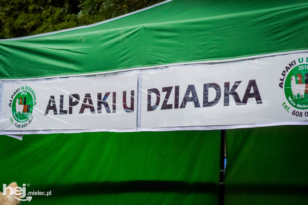 III Jaślański Piknik Rodzinny