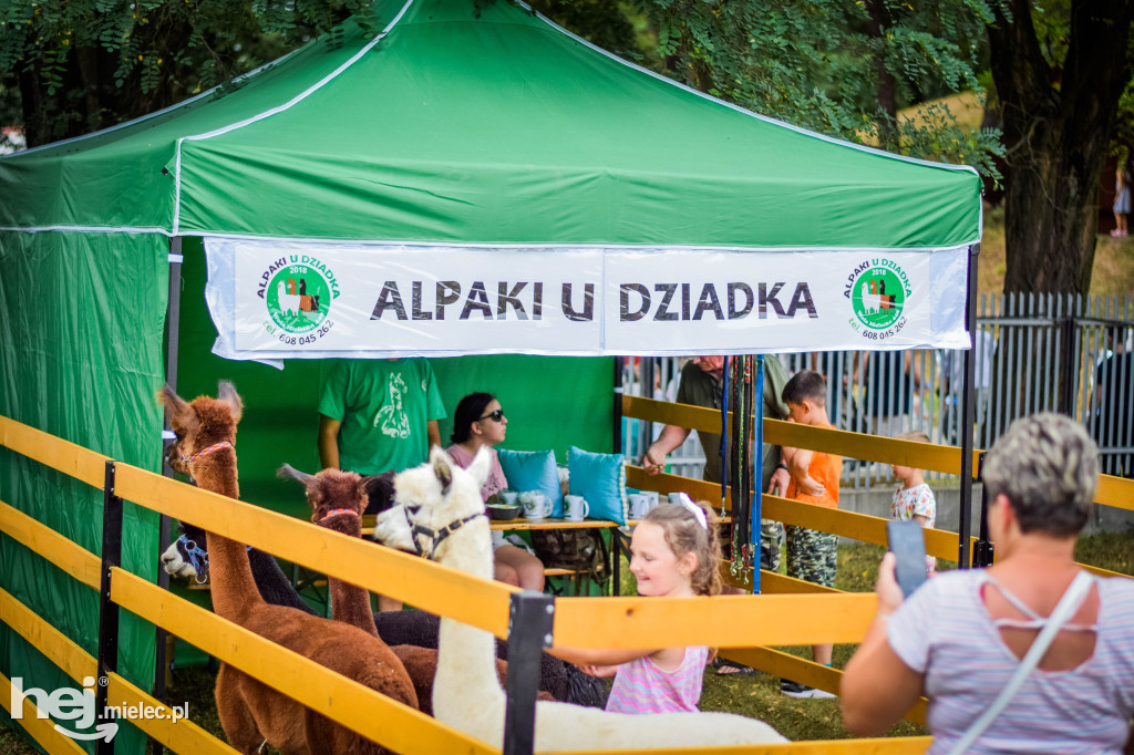 III Jaślański Piknik Rodzinny