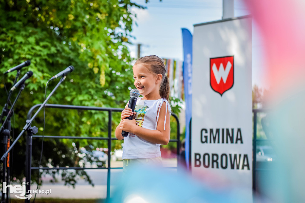Festyn Rodzinny w Borowej