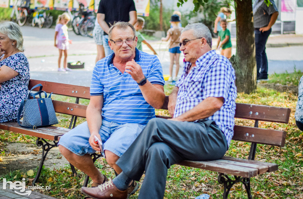 Festyn Rodzinny w Borowej