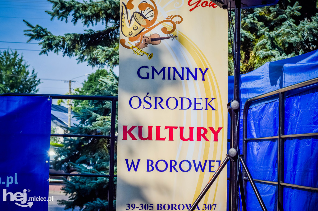 Festyn Rodzinny w Borowej