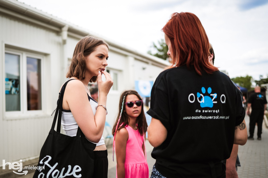 Dzień otwarty w schronisku
