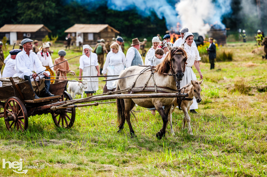 Piknik Historyczny Blizna 2024