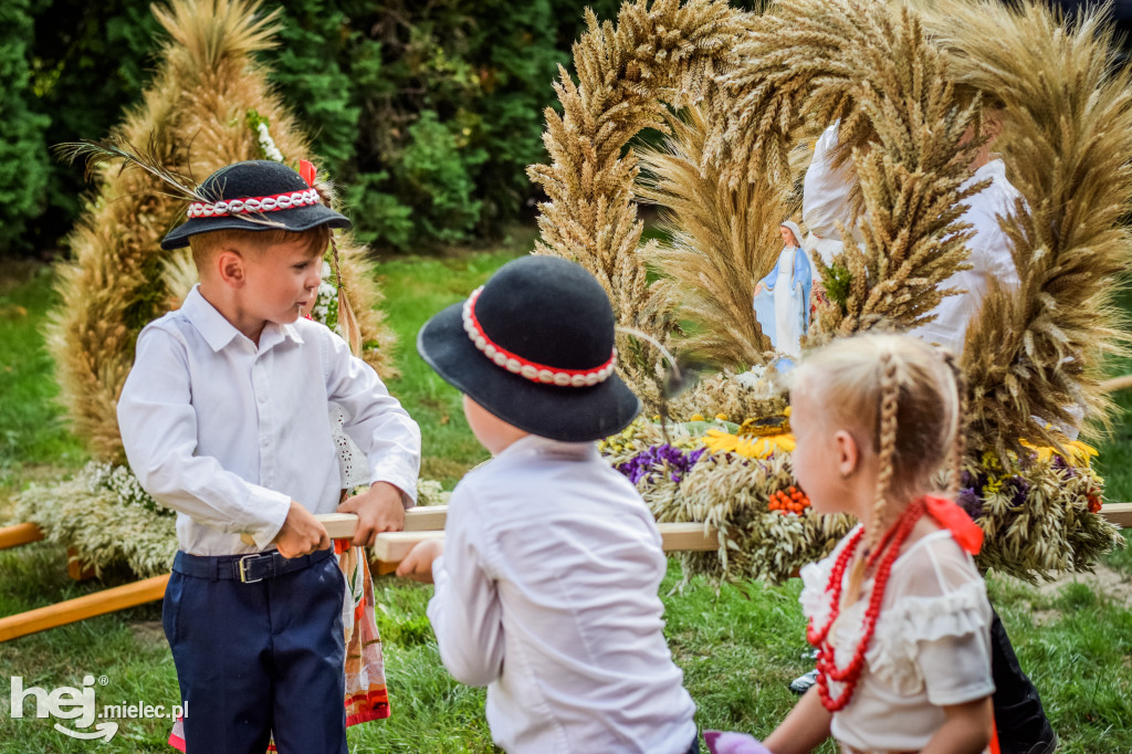 Dożynki Gminy Borowa w Surowej