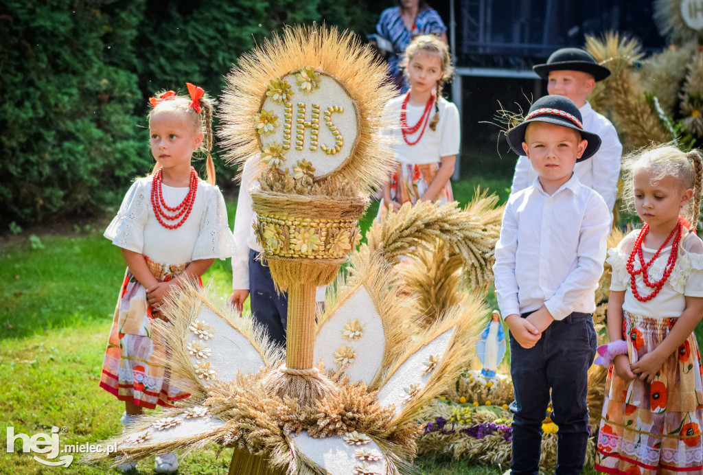 Dożynki Gminy Borowa w Surowej