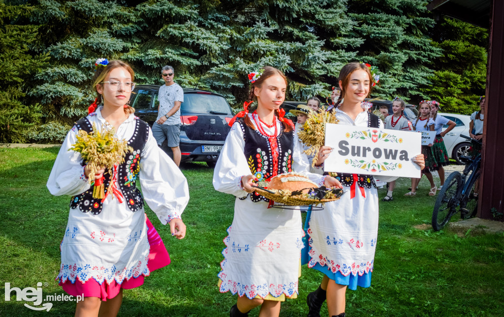 Dożynki Gminy Borowa w Surowej