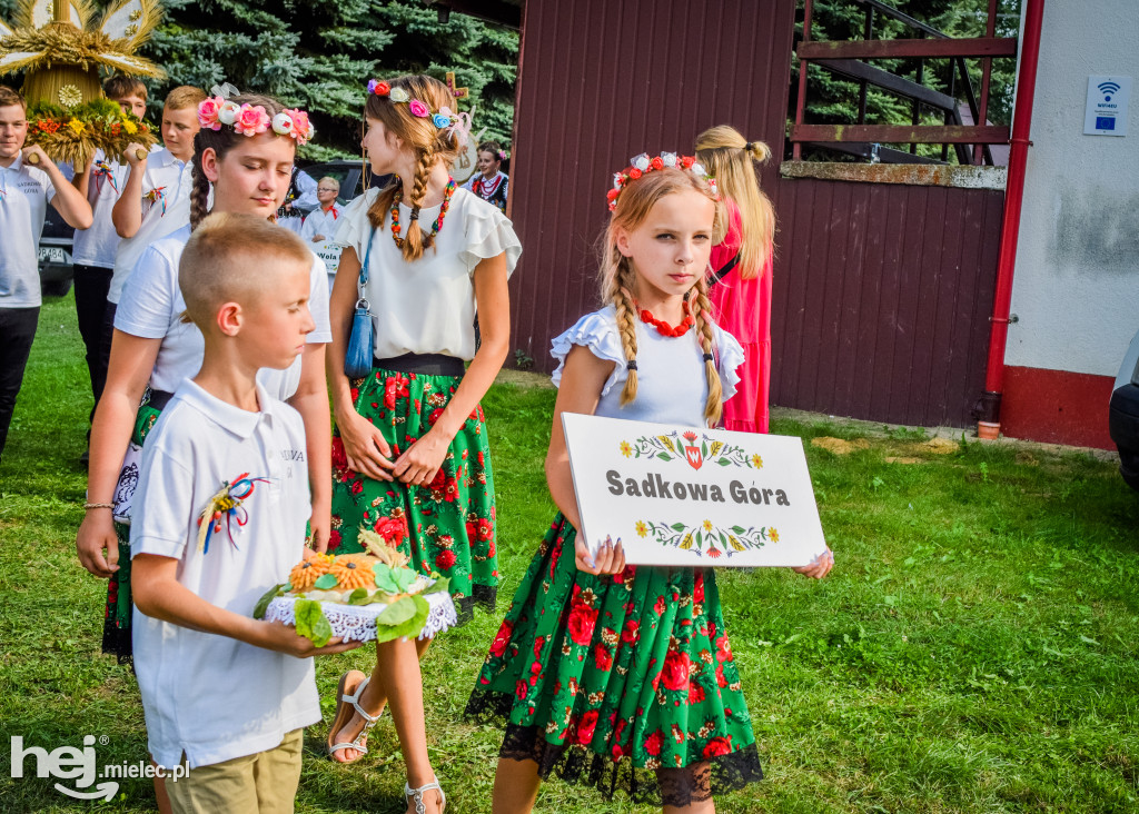 Dożynki Gminy Borowa w Surowej