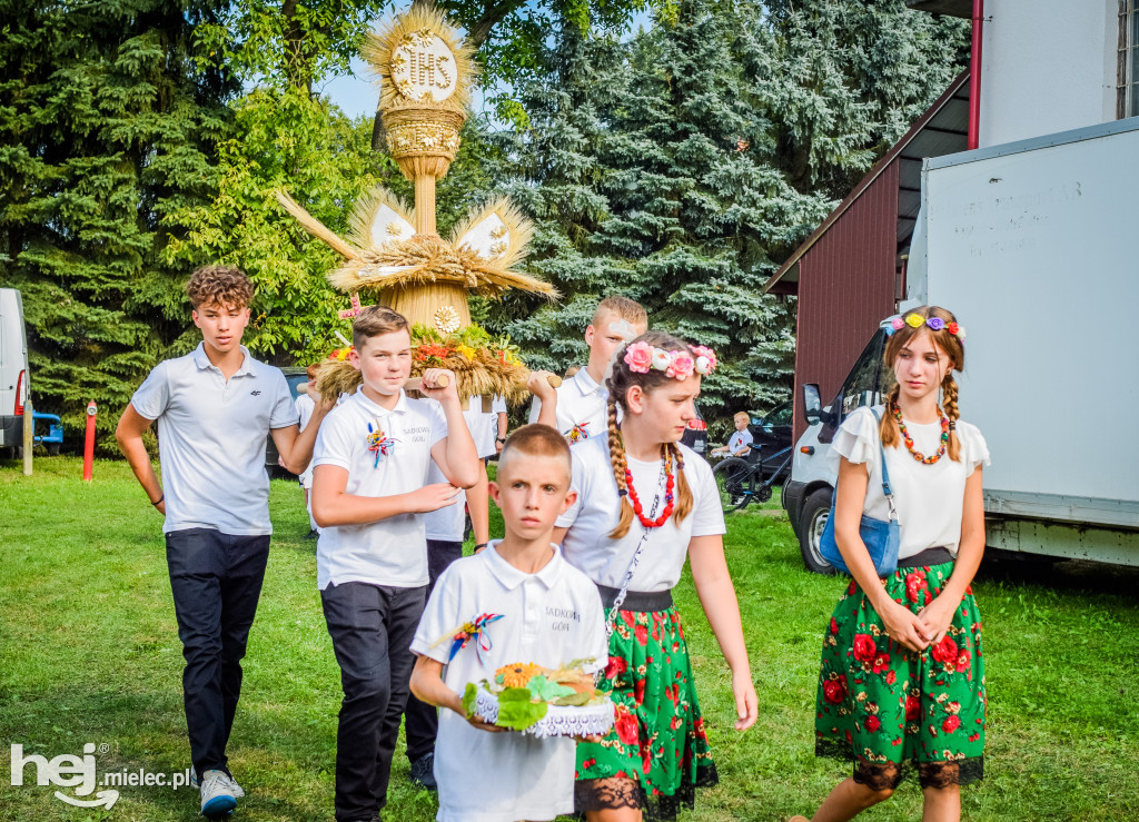 Dożynki Gminy Borowa w Surowej