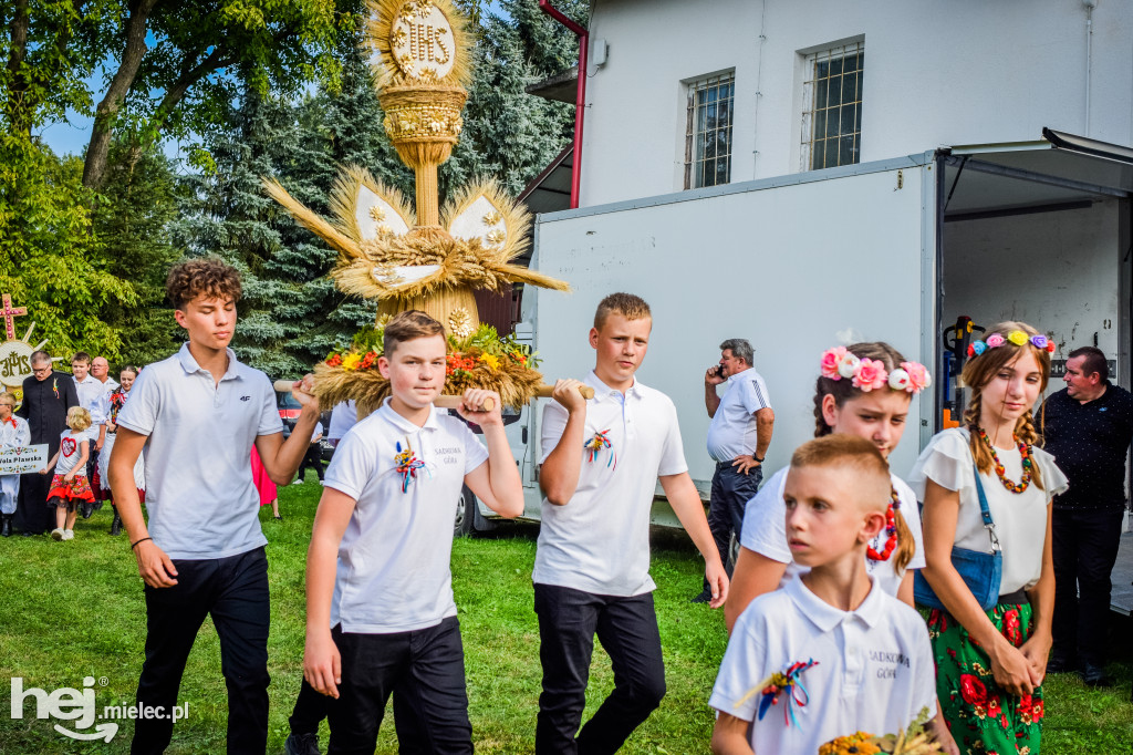 Dożynki Gminy Borowa w Surowej