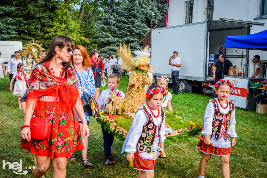 Dożynki Gminy Borowa w Surowej