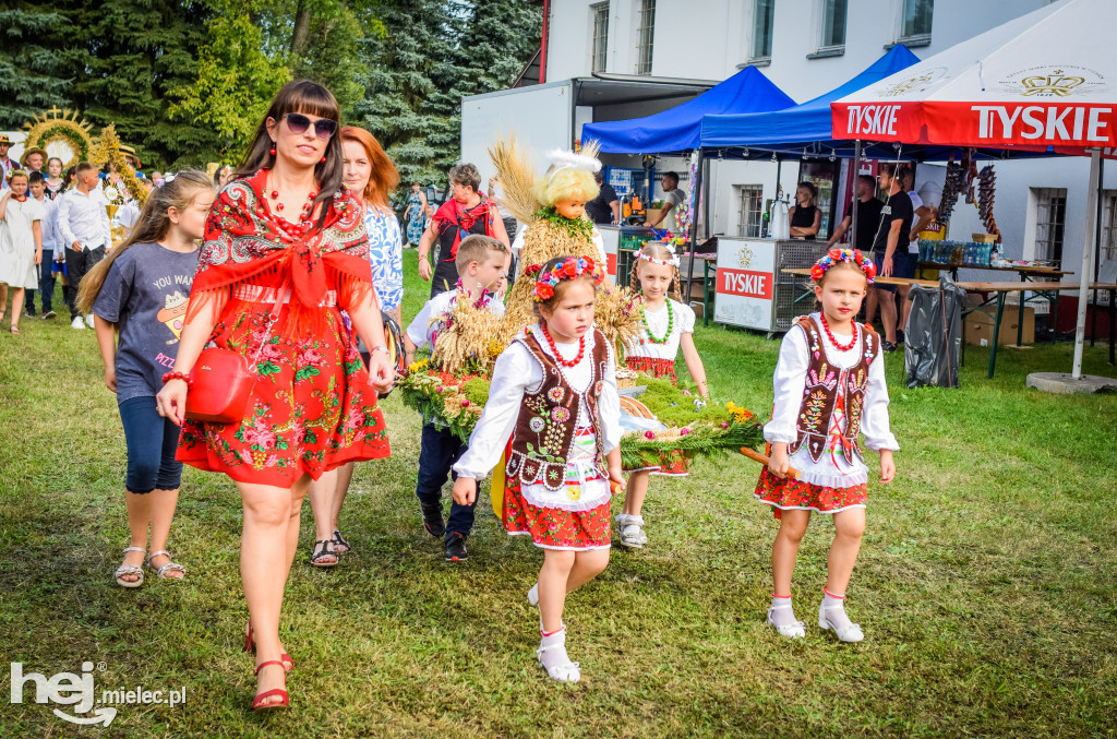 Dożynki Gminy Borowa w Surowej