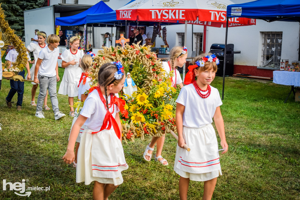 Dożynki Gminy Borowa w Surowej