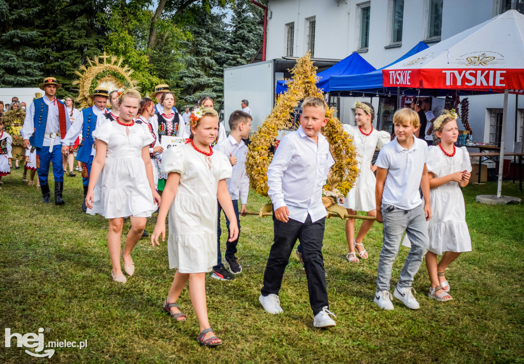 Dożynki Gminy Borowa w Surowej