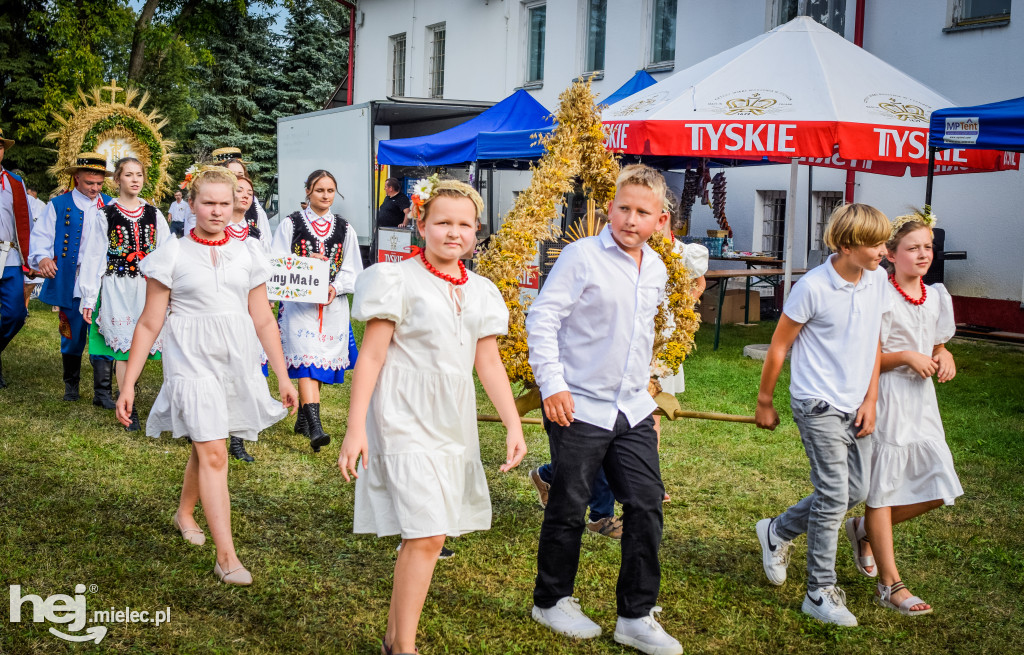 Dożynki Gminy Borowa w Surowej