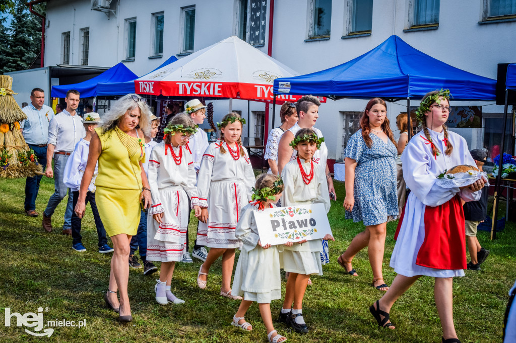 Dożynki Gminy Borowa w Surowej