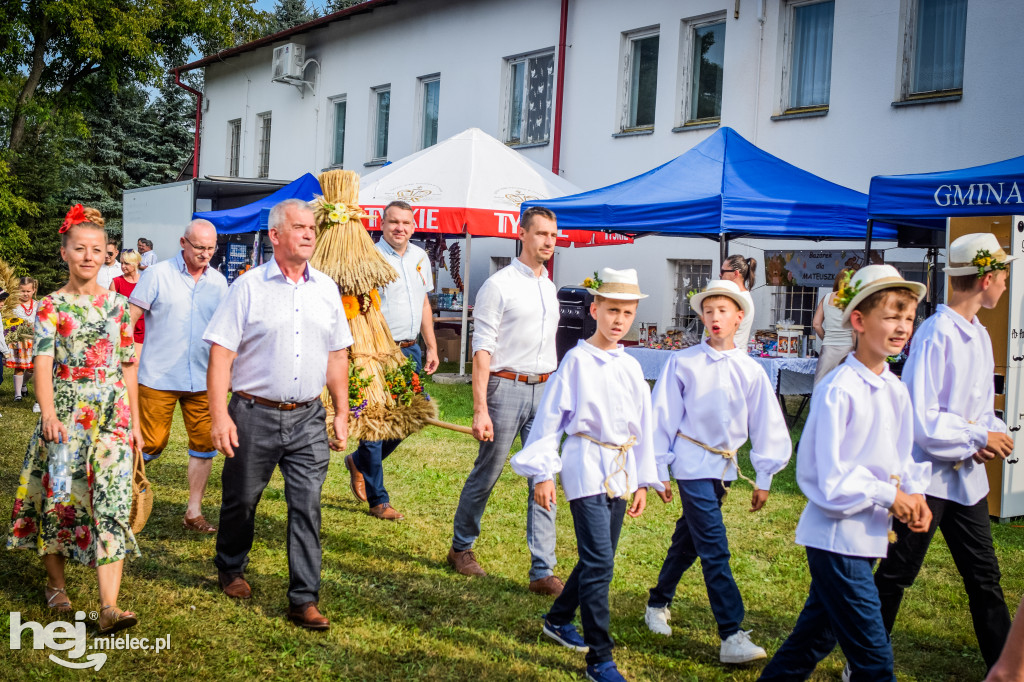 Dożynki Gminy Borowa w Surowej