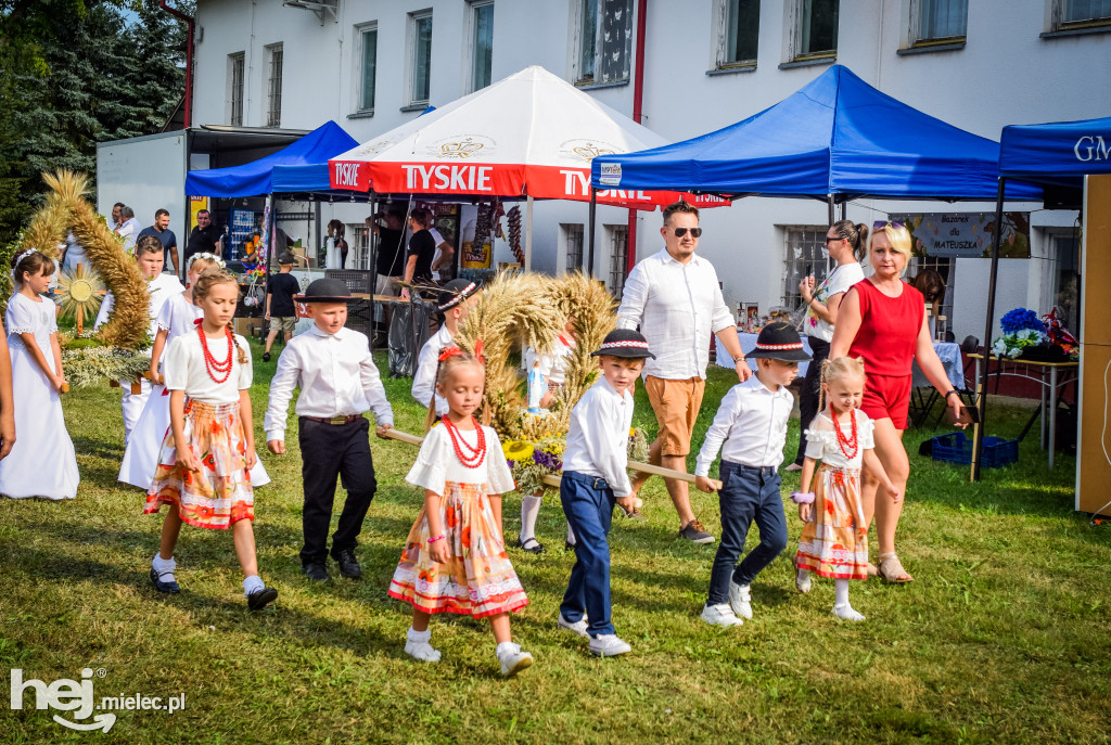 Dożynki Gminy Borowa w Surowej