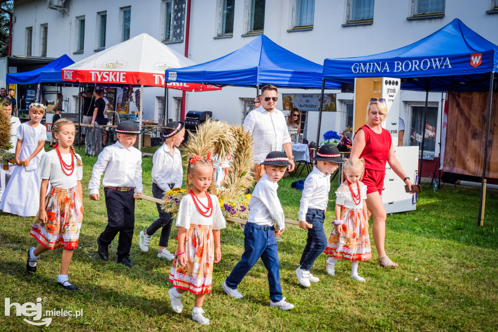 Dożynki Gminy Borowa w Surowej