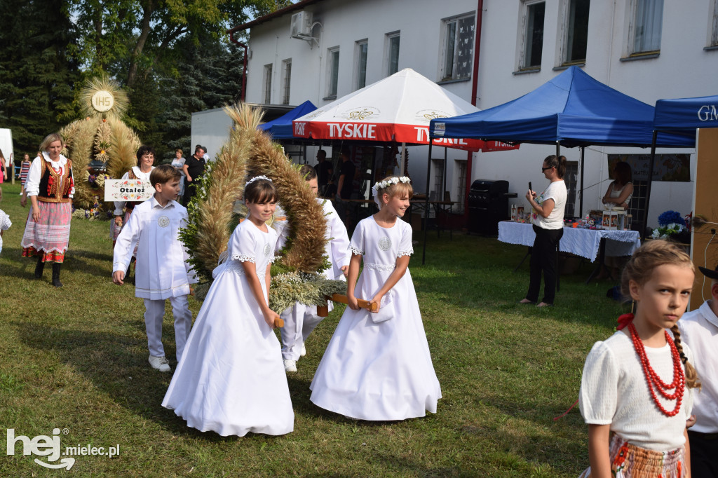 Dożynki Gminy Borowa w Surowej