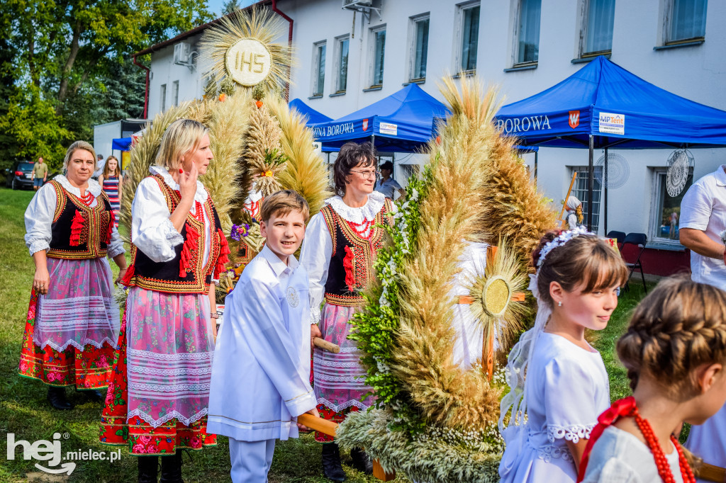 Dożynki Gminy Borowa w Surowej