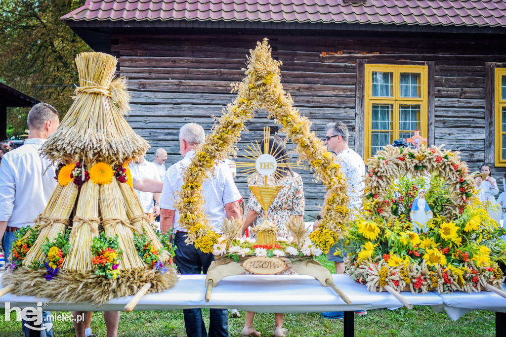 Dożynki Gminy Borowa w Surowej