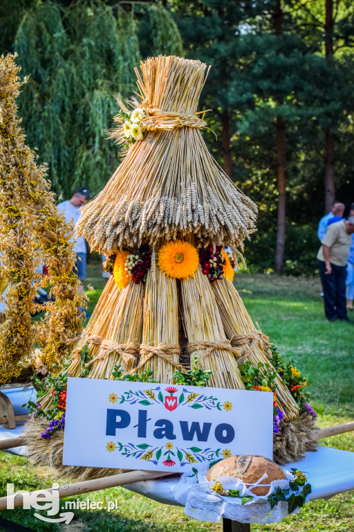 Dożynki Gminy Borowa w Surowej