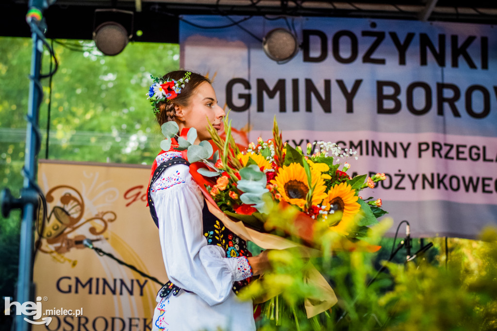 Dożynki Gminy Borowa w Surowej