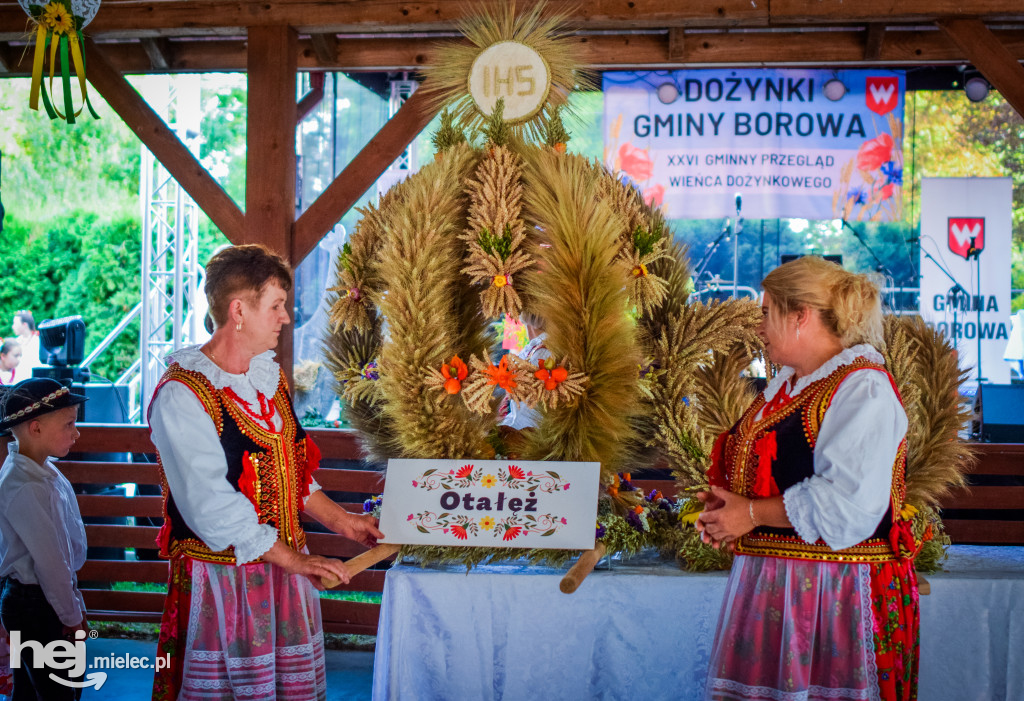 Dożynki Gminy Borowa w Surowej