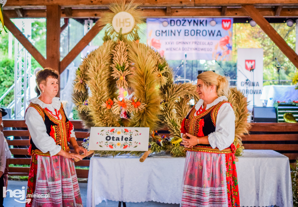 Dożynki Gminy Borowa w Surowej