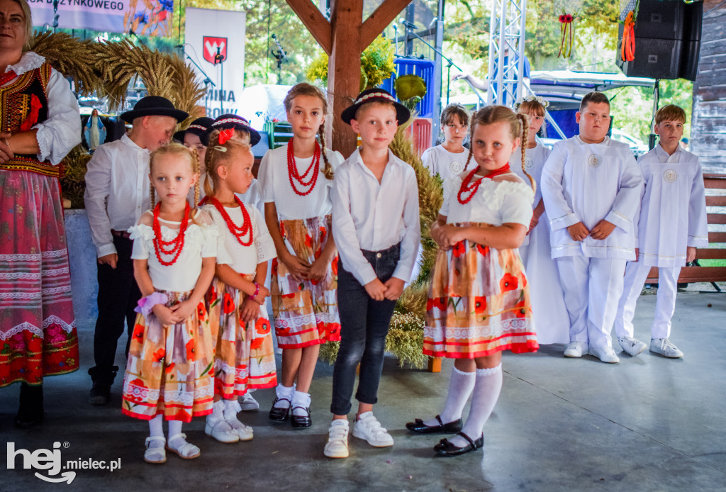 Dożynki Gminy Borowa w Surowej