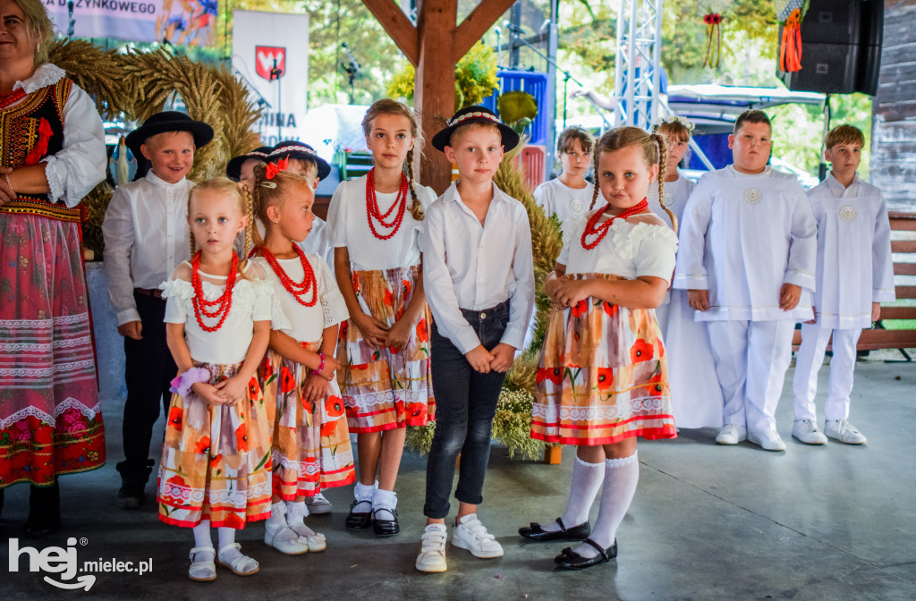 Dożynki Gminy Borowa w Surowej