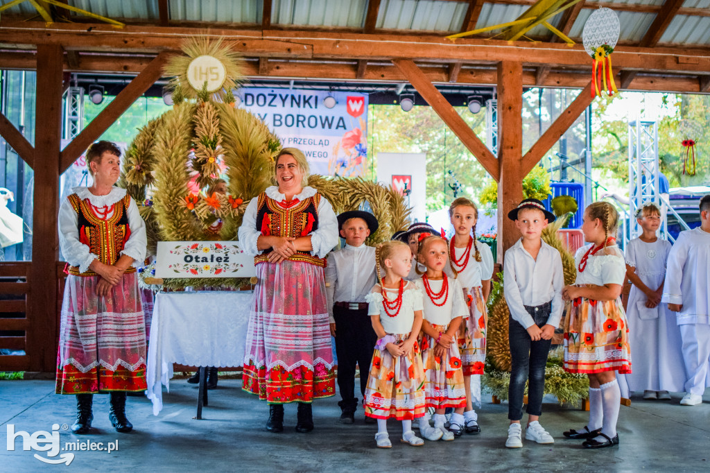 Dożynki Gminy Borowa w Surowej