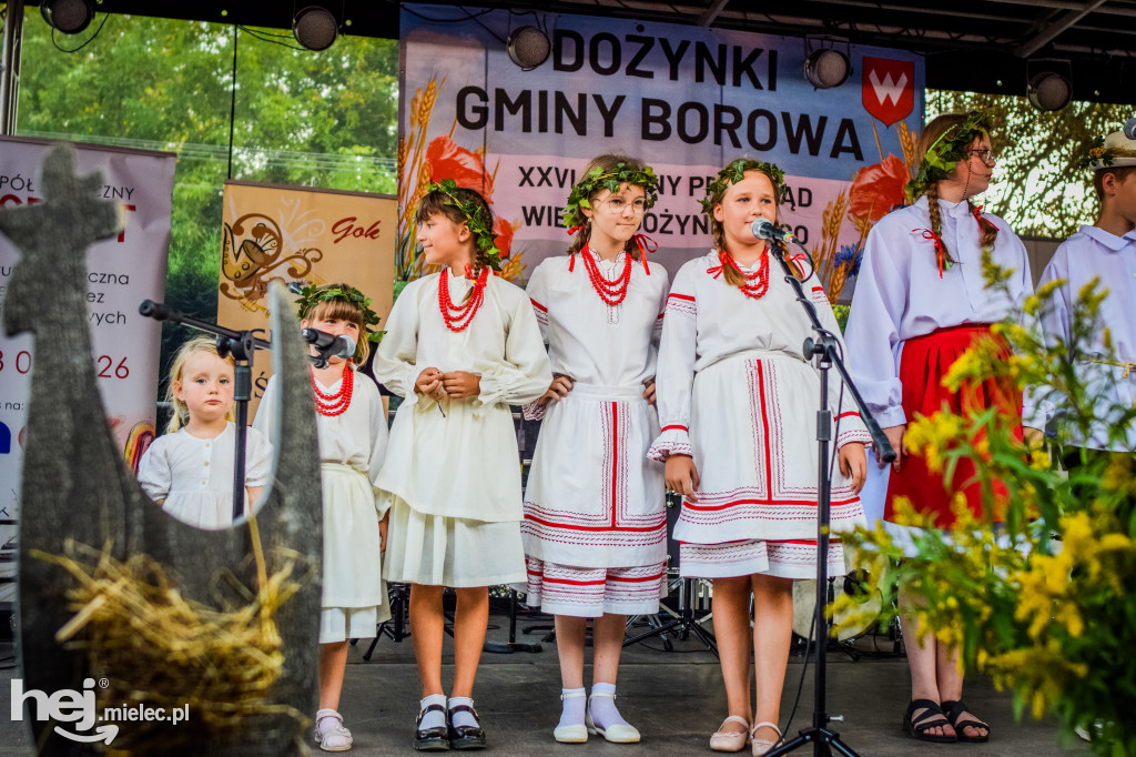 Dożynki Gminy Borowa w Surowej