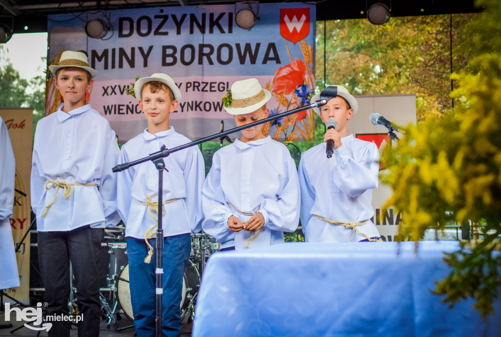 Dożynki Gminy Borowa w Surowej