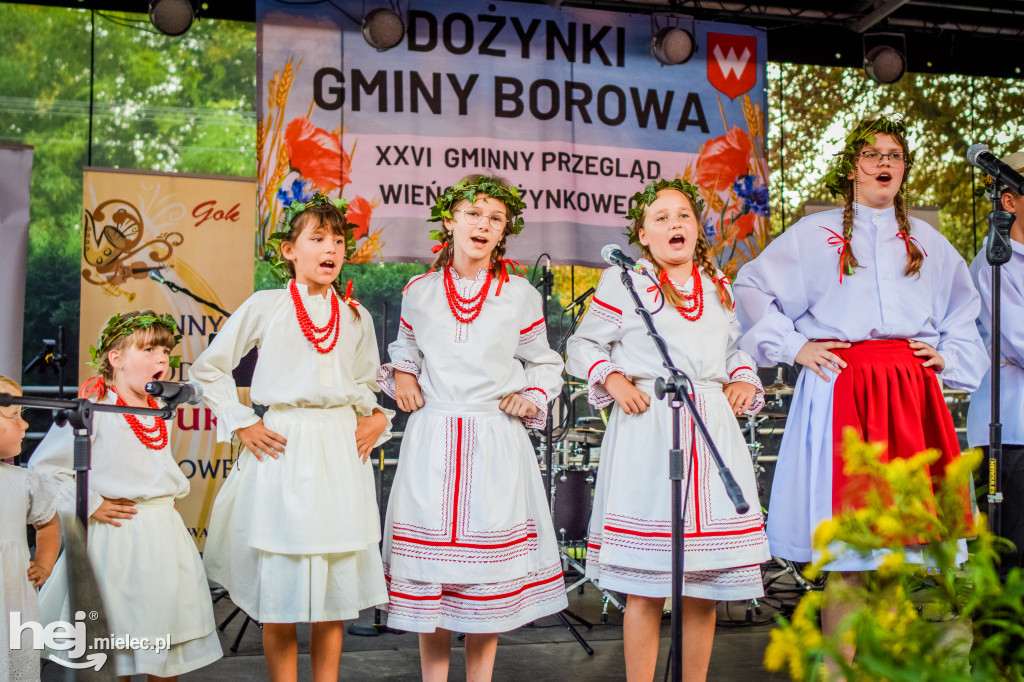 Dożynki Gminy Borowa w Surowej