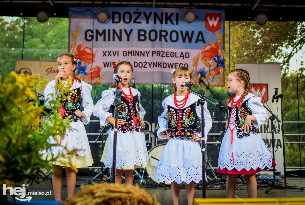 Dożynki Gminy Borowa w Surowej