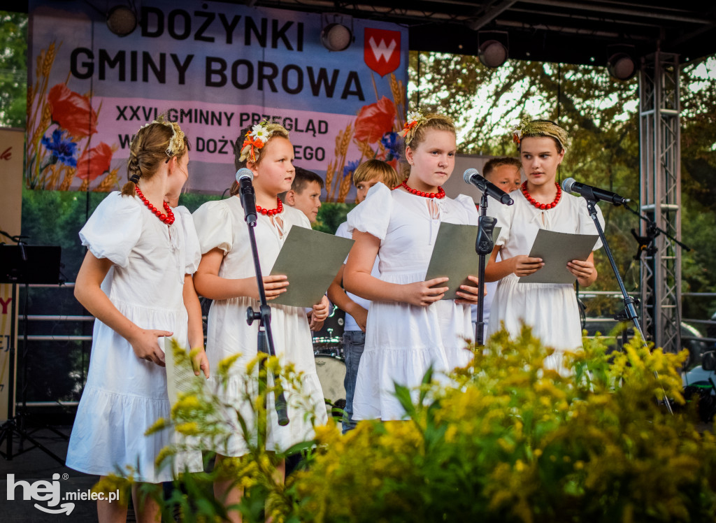 Dożynki Gminy Borowa w Surowej