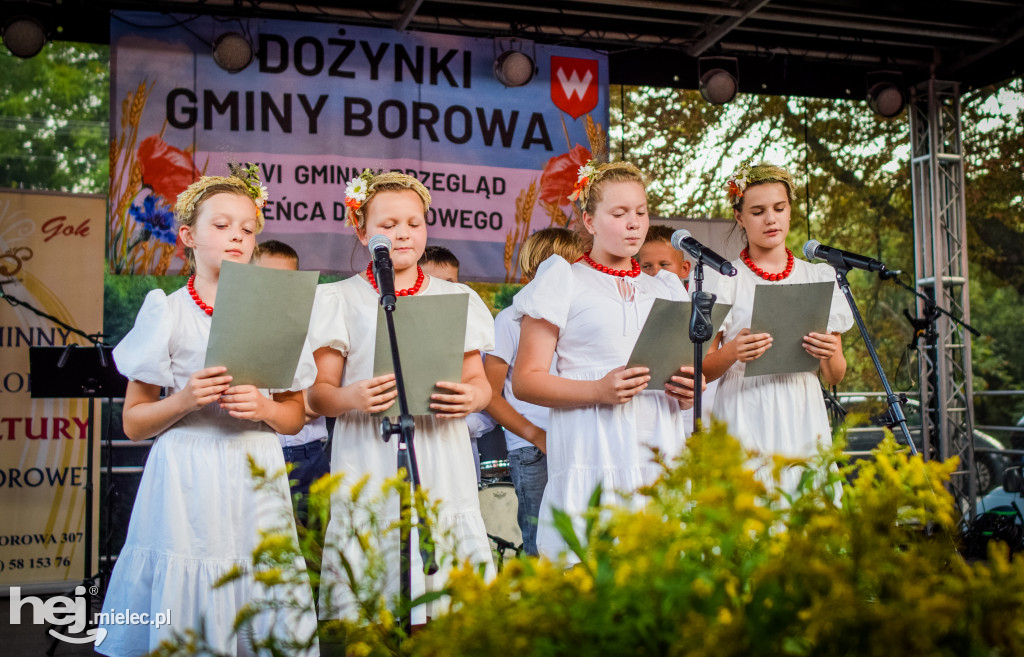 Dożynki Gminy Borowa w Surowej