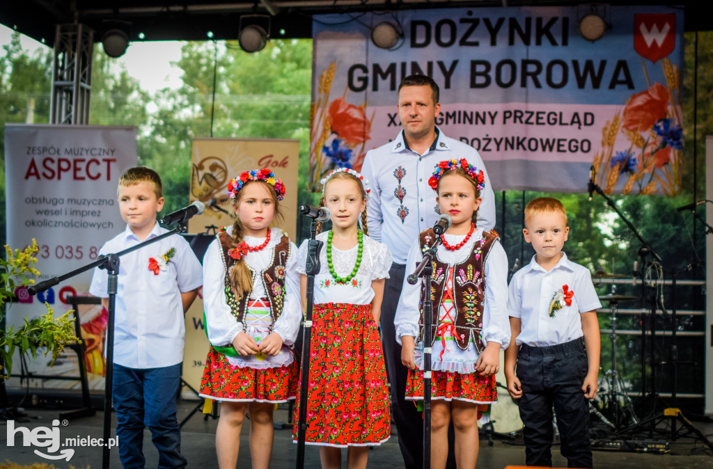 Dożynki Gminy Borowa w Surowej