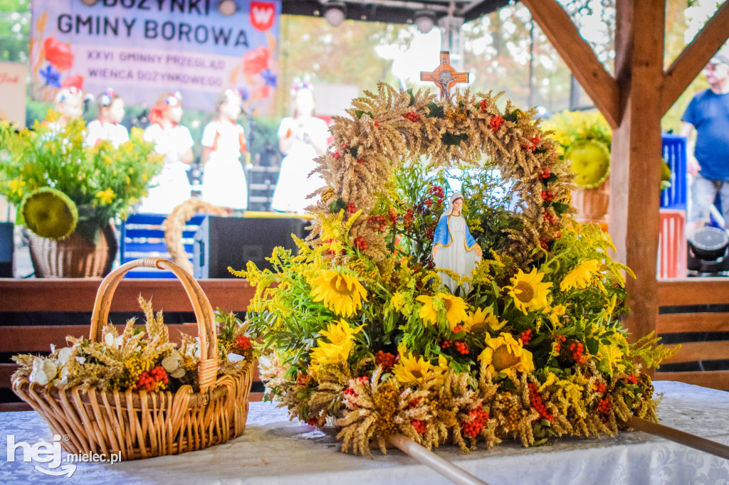 Dożynki Gminy Borowa w Surowej