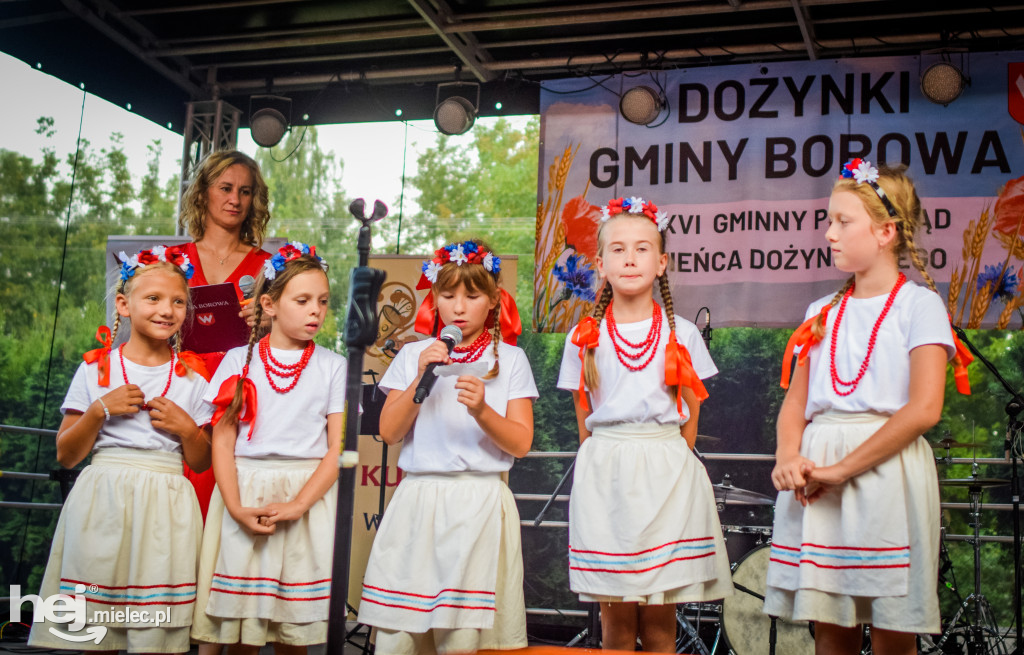 Dożynki Gminy Borowa w Surowej