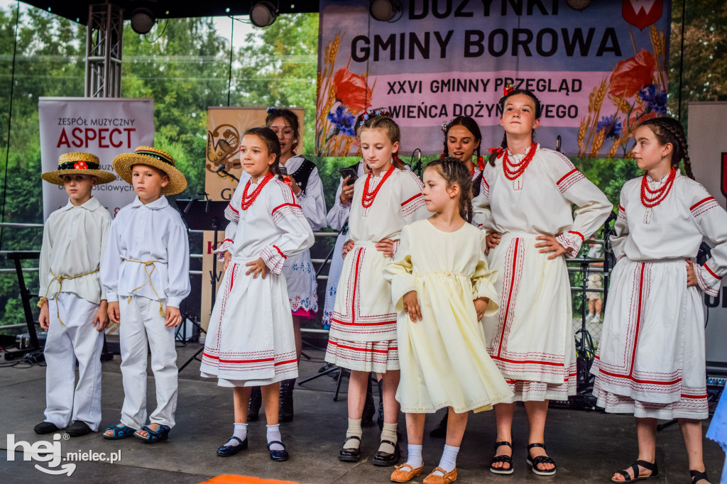 Dożynki Gminy Borowa w Surowej