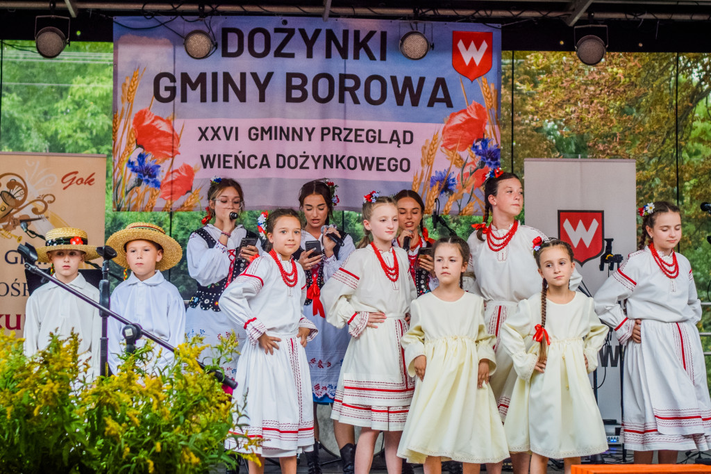 Dożynki Gminy Borowa w Surowej