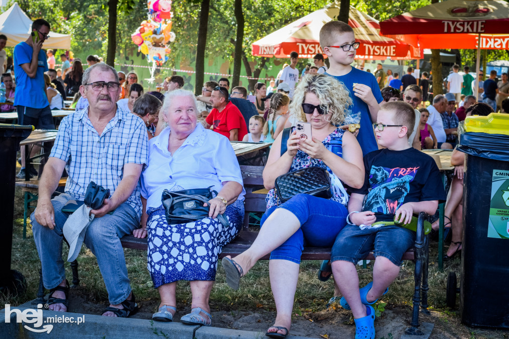 Święto Wojska Polskiego w Czerminie