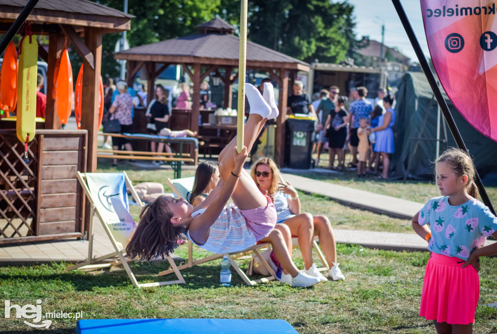 Święto Wojska Polskiego w Czerminie