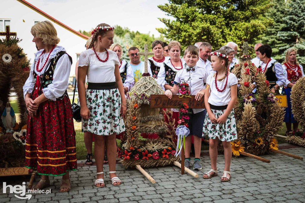 Dożynki gminy Radomyśl Wielki