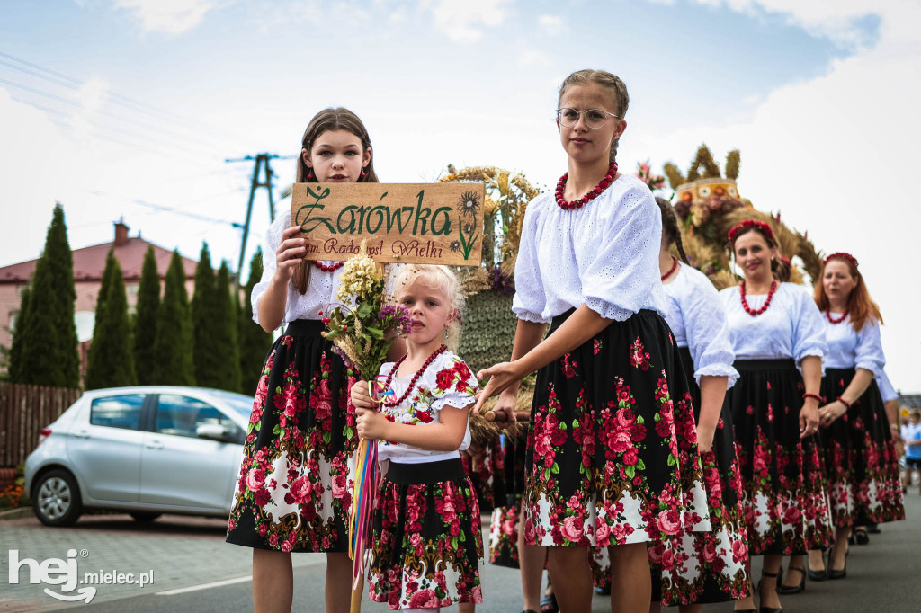 Dożynki gminy Radomyśl Wielki