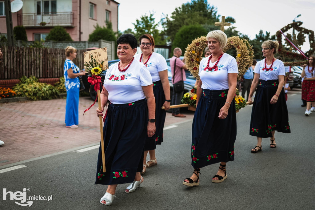 Dożynki gminy Radomyśl Wielki