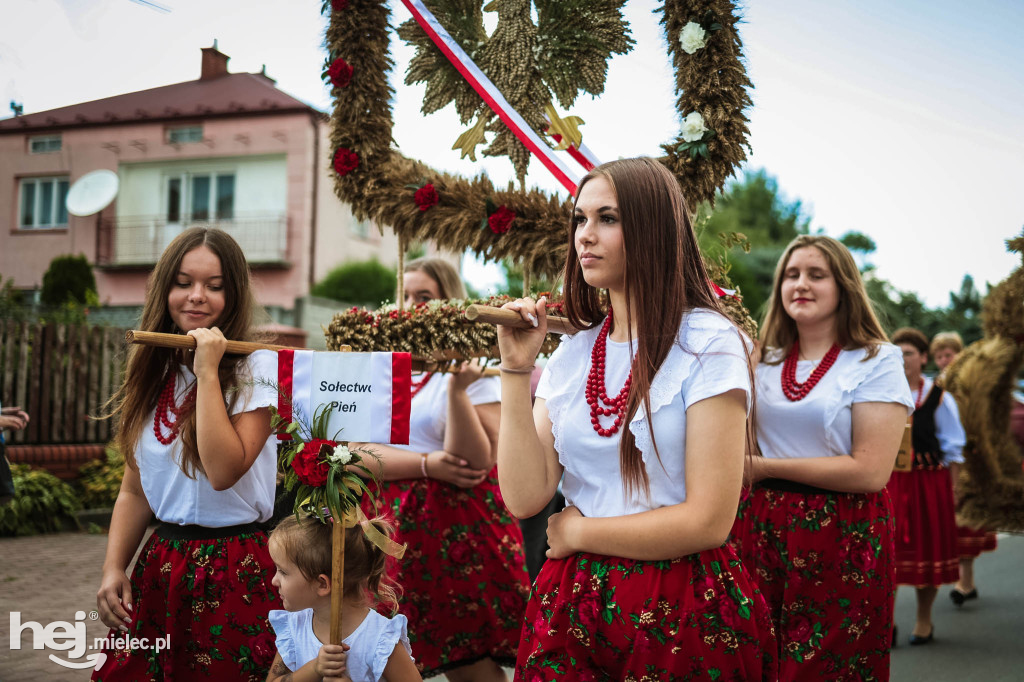 Dożynki gminy Radomyśl Wielki