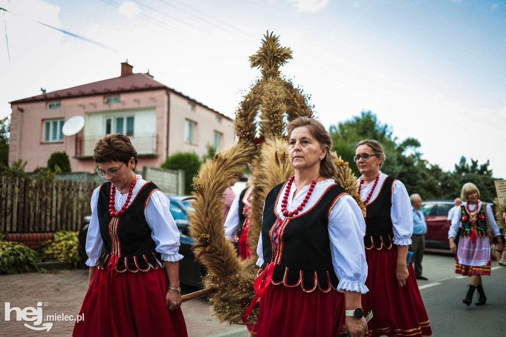 Dożynki gminy Radomyśl Wielki